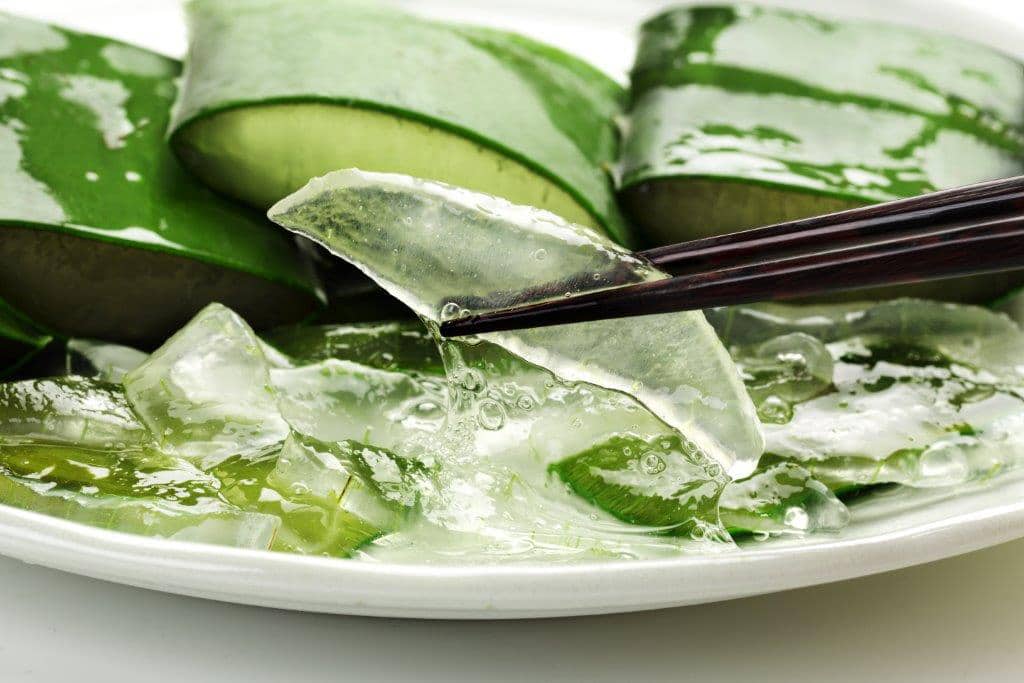 Aloé Véra photo - Boutique - Article