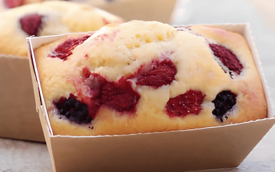 Cake Gourmand aux 4 Baies : Goji, Physalis, Cranberries etMûres Blanches