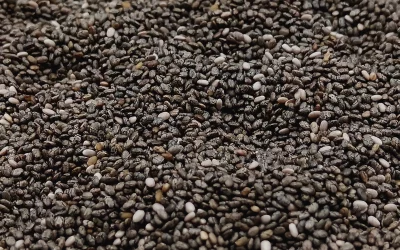 Les Bienfaits de la Graine de Chia : Un Superaliment aux Vertus Exceptionnelles
